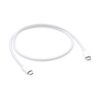 Apple Thunderbolt 3 Cable (0.8′)